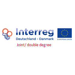 Joint/ double degree